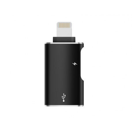 Переходник PALMEXX ADP071 Lightning(m)-USB3.0(f) OTG, USBC DC5V